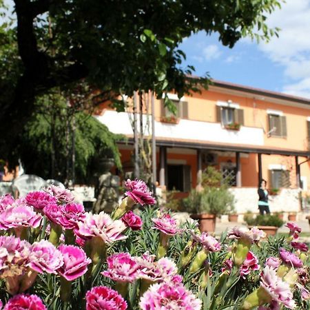 B&B Casale Shanti Piedimonte San Germano Exterior foto