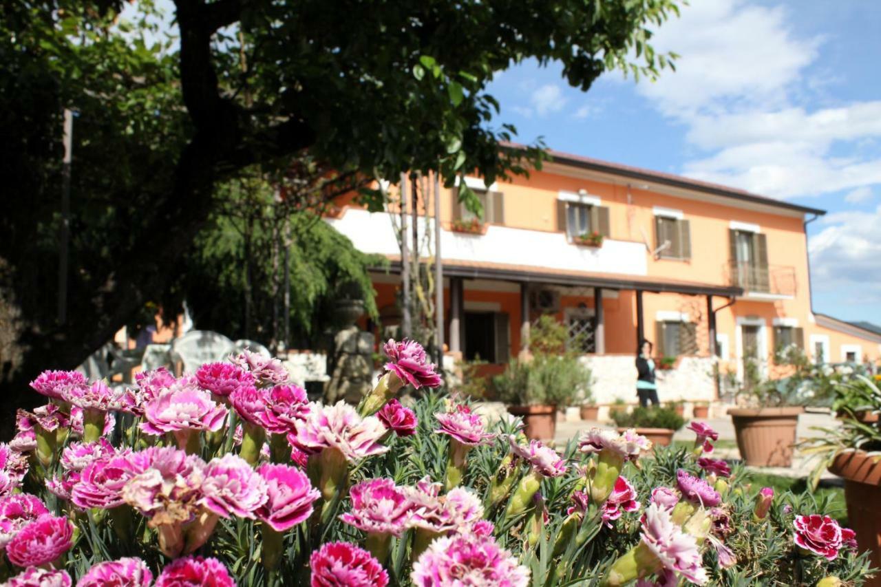 B&B Casale Shanti Piedimonte San Germano Exterior foto